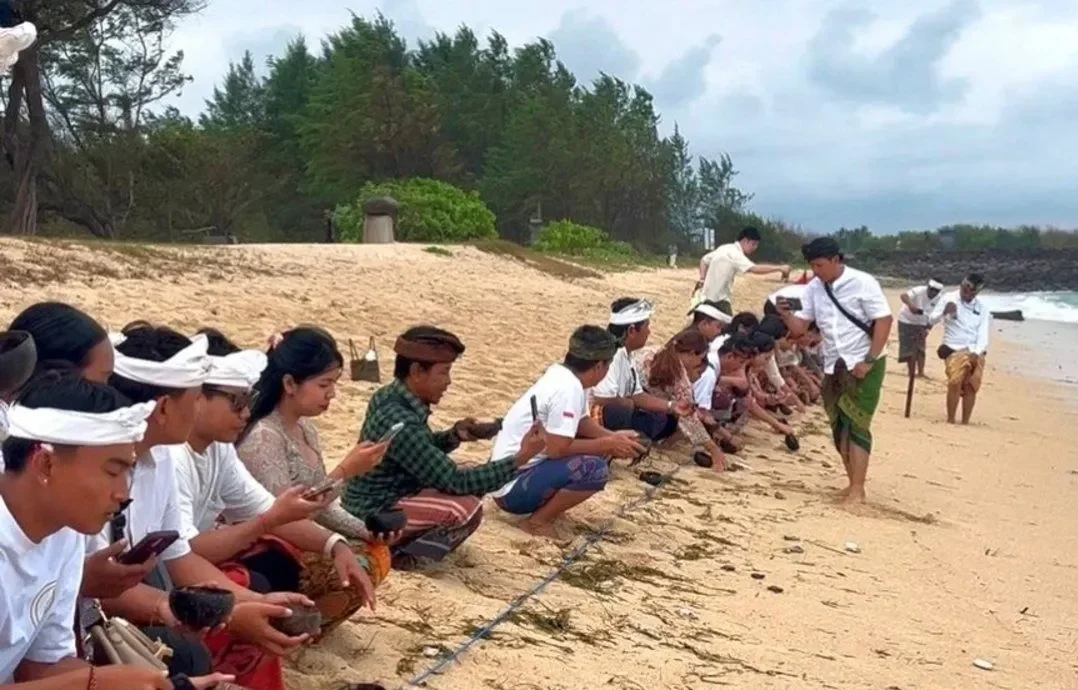 BTID melepasliarkan tukik maknai hari suci "Tumpek Kandang"