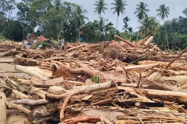 Banjir Bandang Sumut Bawa Kayu Gelondongan (Dok : Int).