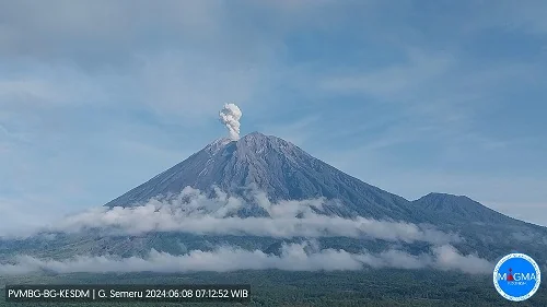 Gunung Semeru Erupsi. (Foto: Dok. PVMBG)